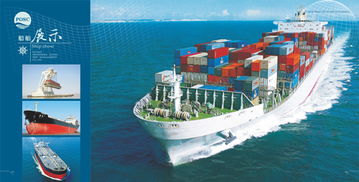 興盛洋船舶管理公司畫冊設(shè)計與集成電路設(shè)計的創(chuàng)新融合